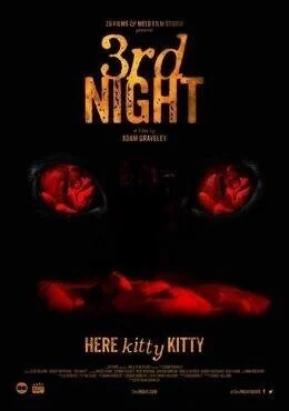 فيلم 3rd Night 2017 مترجم