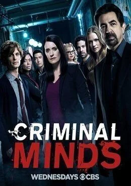 مسلسل Criminal Minds الموسم الرابع عشر