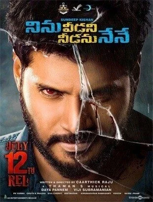 فيلم Ninu Veedani Needanu Nene 2019 مترجم