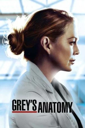مسلسل Grey’s Anatomy الموسم السابع عشر الحلقة 7 السابعة