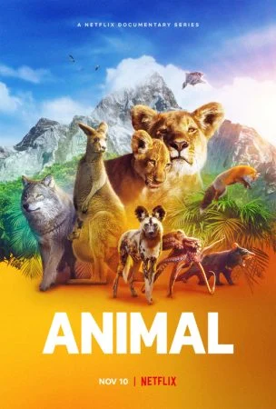 مسلسل Animal الموسم الاول الحلقة 4 الرابعة والاخيرة