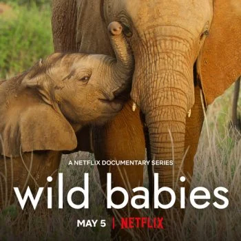 مسلسل Wild Babies الموسم الاول الحلقة 8 الثامنة والاخيرة مترجمة