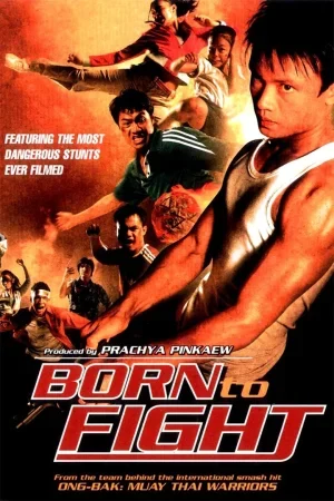 فيلم Born to Fight 2004 مترجم
