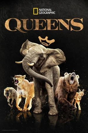 مسلسل Queens 2024 الموسم الاول الحلقة 7 السابعة والاخيرة مترجمة