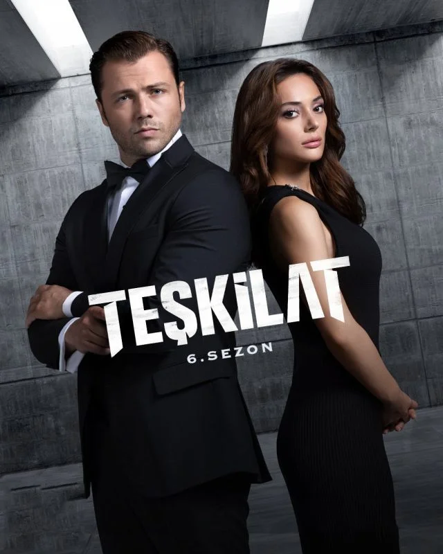 مسلسل المنظمة