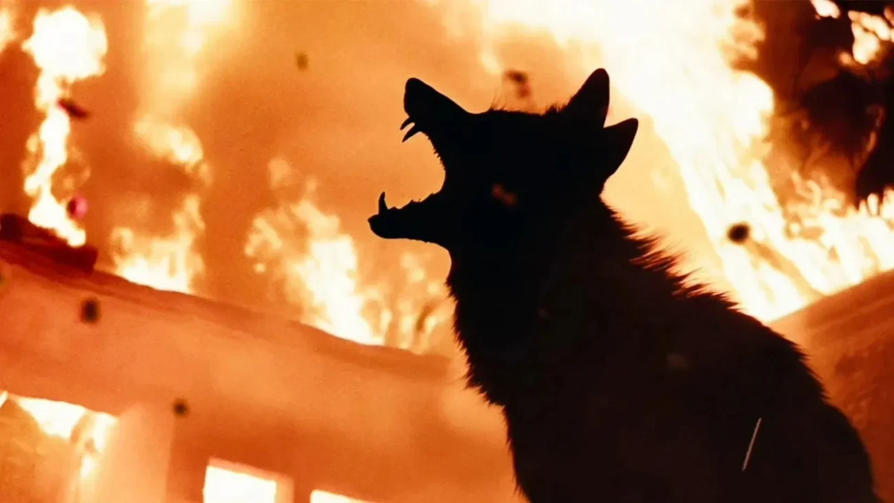 فيلم Coyotes 2025 مترجم