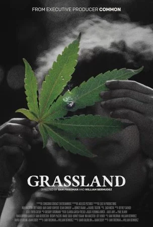 فيلم Grassland 2024 مترجم