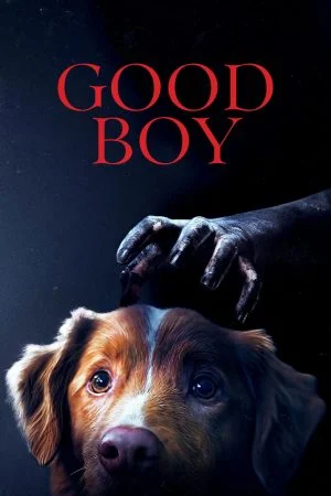 فيلم Good Boy 2025 مترجم
